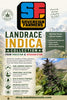 Durand Line #3