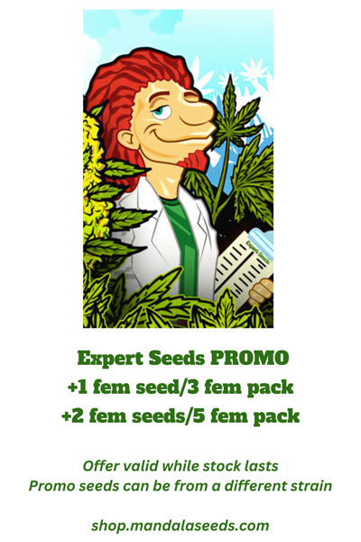 Expert Seeds Promo