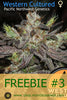 FREEBIE #3 (Western Cultured Seeds fem)