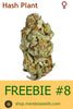 FREEBIE #8 (Sensi Hash Plant fem)
