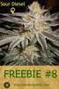 FREEBIE #8 (Sour Diesel fem)