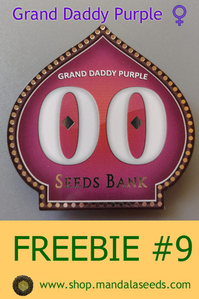 FREEBIE #9 (Grand Daddy Purple fem)