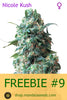 FREEBIE #9 (Nicole Kush fem)