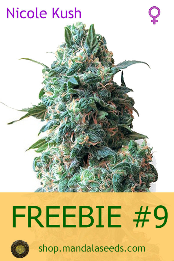 FREEBIE #9 (Nicole Kush fem)
