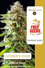FREEBIE (Cookies Haze fem)