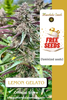 FREEBIE (Lemon Gelato fem)