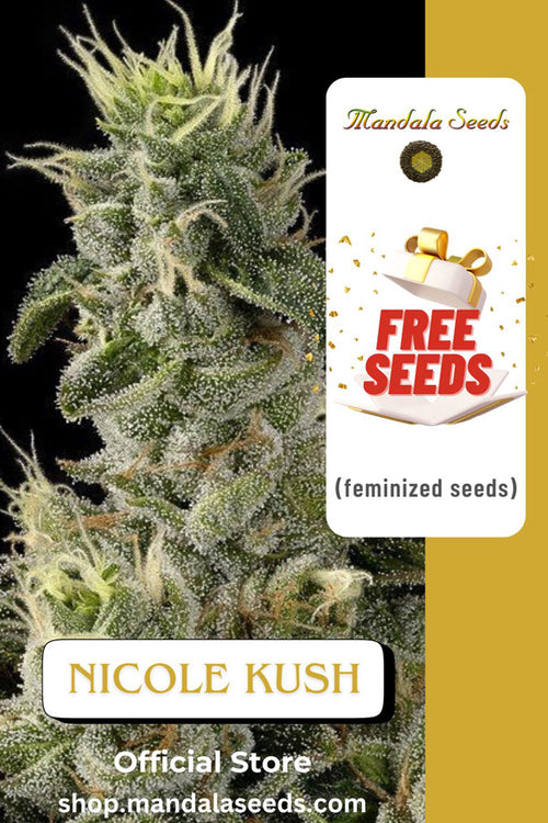 FREEBIE (Nicole Kush fem)