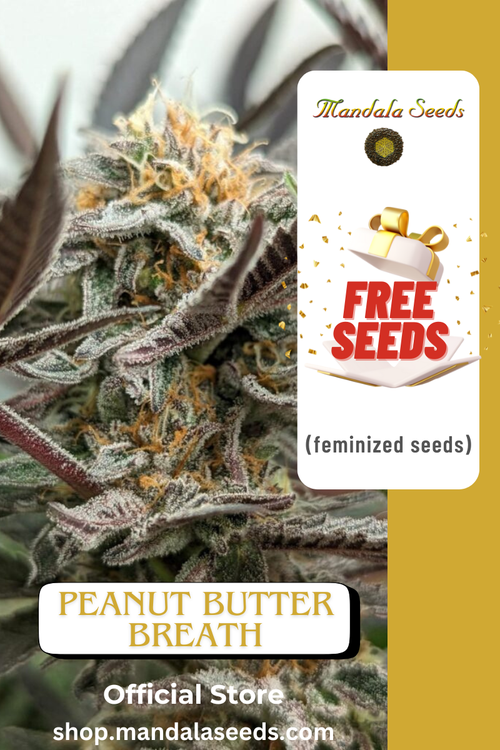 FREEBIE (Peanut Butter Breath fem)