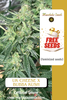 FREEBIE (UK Cheese x Bubba Kush fem)