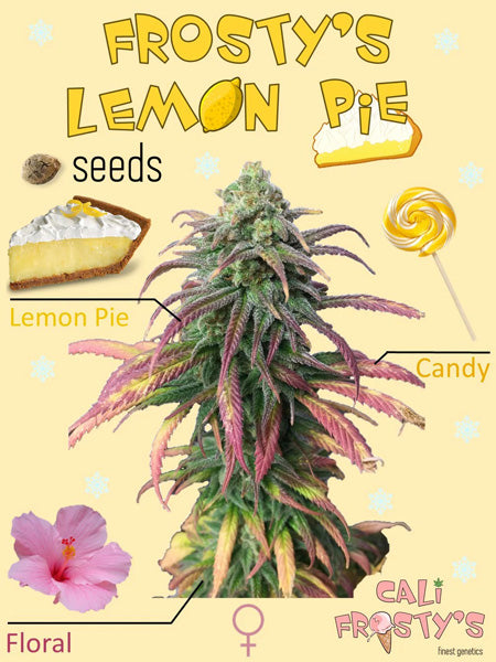 Frosty's Lemon Pie
