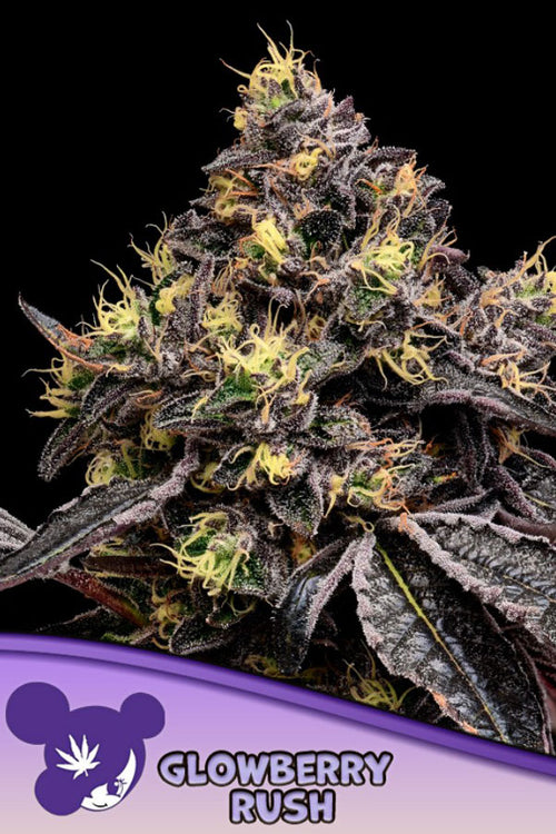 Glowberry Rush