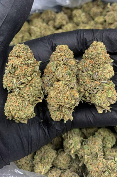 Green Crush (aka Green Crack)