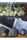 Hashberry - Mandala Seeds Shop Mandala Seeds