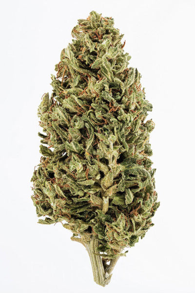 Jack Herer Xpress