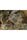 Kalichakra - Mandala Seeds Shop Mandala Seeds