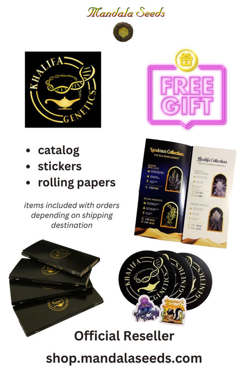 Khalifa Genetics Free Gift