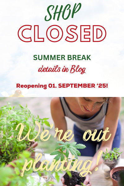 Satori (feminized edition)