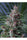 Mandala #1 - Mandala Seeds Shop Mandala Seeds