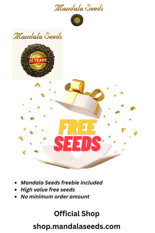 Mandala Seeds Freebie