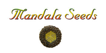 files/Mandala-Seeds-logo.jpg