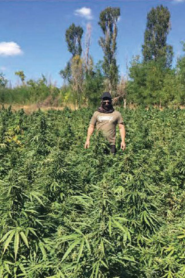 Moscow Blueberry Auto