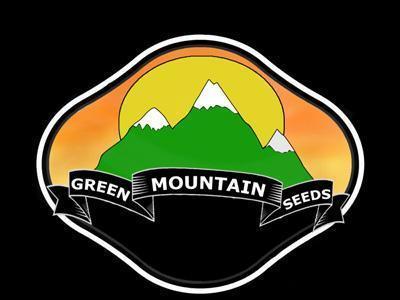 Mountain Gold (Limited Edition) - Mandala Seeds Shop Green Mountain Seeds