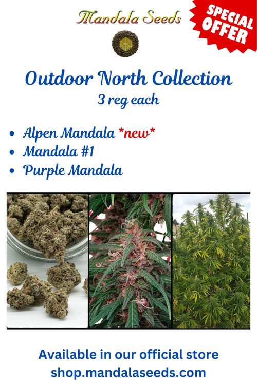 Outdoor North Collection