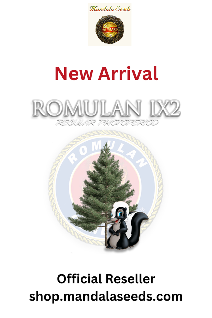 Romulan (IX2)