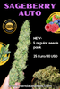 Sageberry Auto