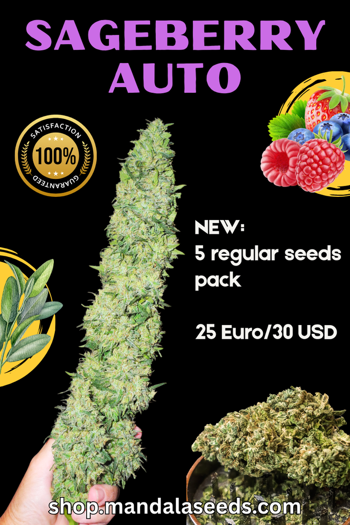 Sageberry Auto