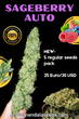 Sageberry Auto