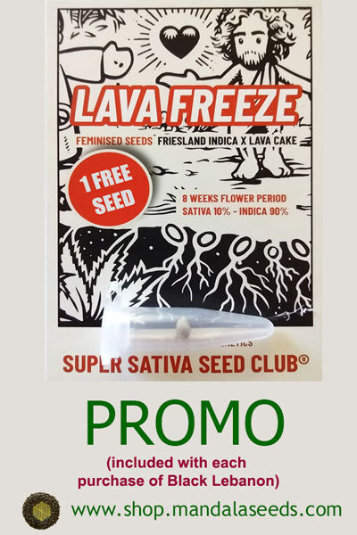 Super Sativa Seed Club Promo