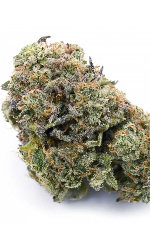 Jack the Ripper
