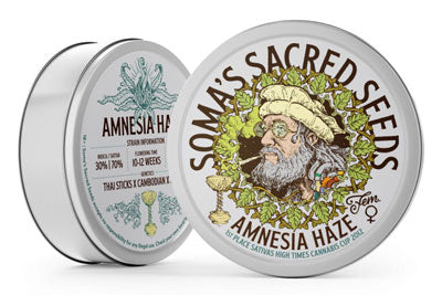 Amnesia Haze - Mandala Seeds Shop Soma Seeds