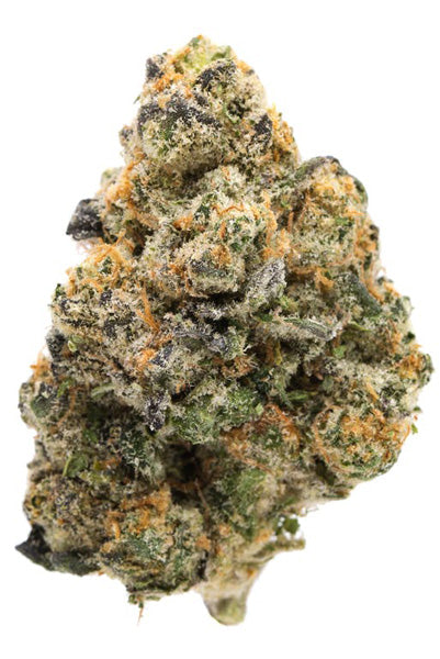 Auto Cookies - Mandala Seeds Shop Cheap Feminized Seeds
