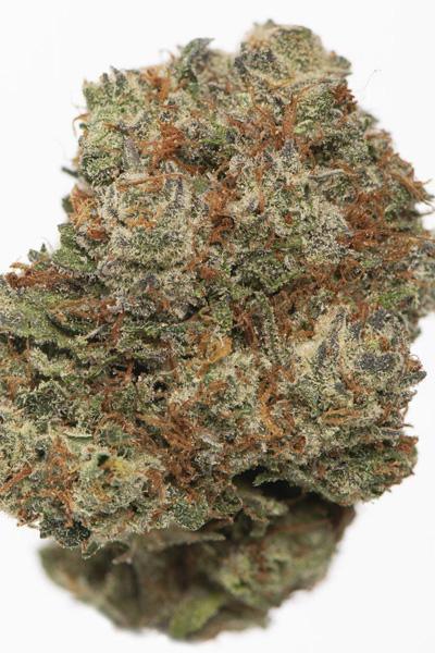 Bubba Kush Cookies - Mandala Seeds Shop Cheap Feminized Seeds