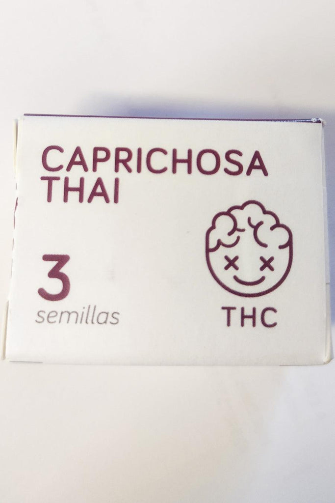 Caprichosa Thai - Mandala Seeds Shop Elite Seeds