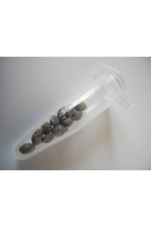 Eppendorf Tube 1.5ml - Mandala Seeds Shop Eppendorf