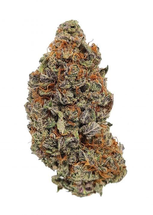 Grand Daddy Purple - Mandala Seeds Shop Cheap Feminized Seeds