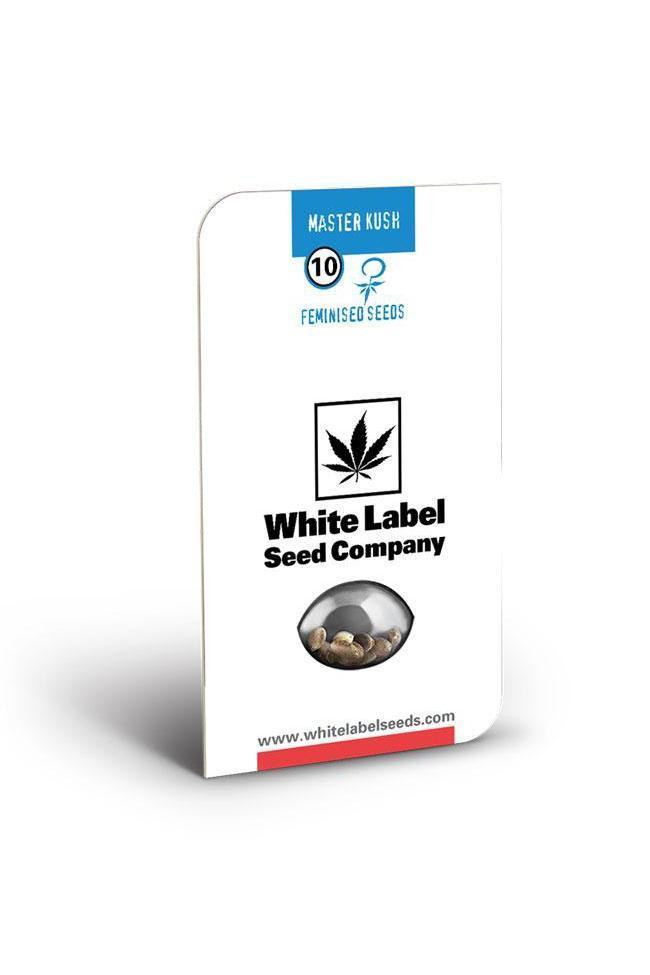 Master Kush - Mandala Seeds Shop Sensi White Label