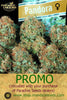 Paradise Seeds Promo - Mandala Seeds Shop