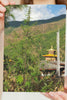 Paro Valley landrace (free photo print) - Mandala Seeds Shop Mandala Seeds