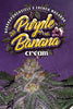 Purple Banana Cream (Limited Edition) - Mandala Seeds Shop T.H.Seeds