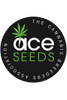 Purple Haze x Malawi - Mandala Seeds Shop Ace Seeds