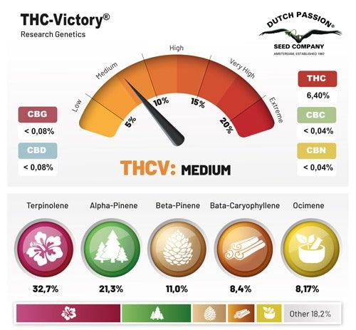 THC-Victory - Mandala Seeds Shop Dutch Passion