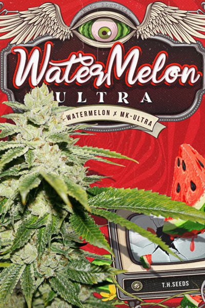 WaterMelon Ultra (Limited Edition) - Mandala Seeds Shop T.H.Seeds