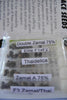 Zamaldelica - Standard Breeders Pack - Mandala Seeds Shop Ace Seeds