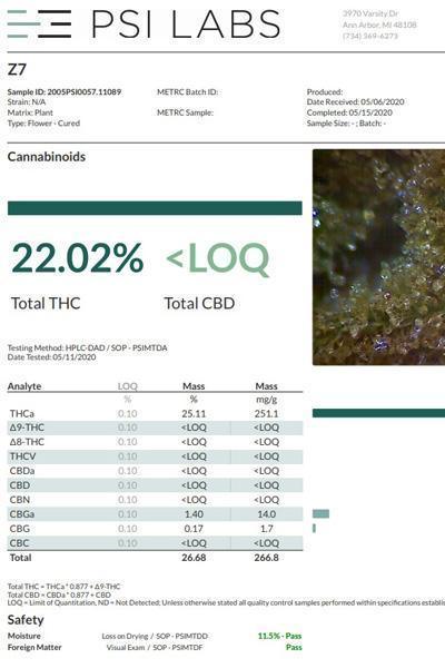 Zamaldelica - Standard Breeders Pack - Mandala Seeds Shop Ace Seeds